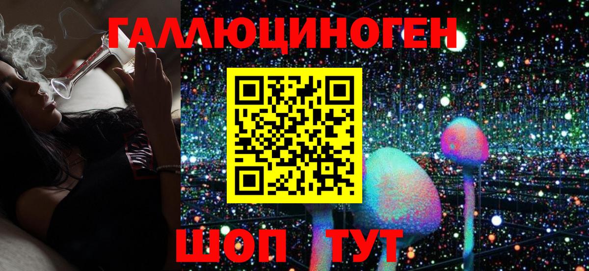 Псилоцибиновые грибы GOLDEN TEACHER  Вход с VPN  Черногорск 